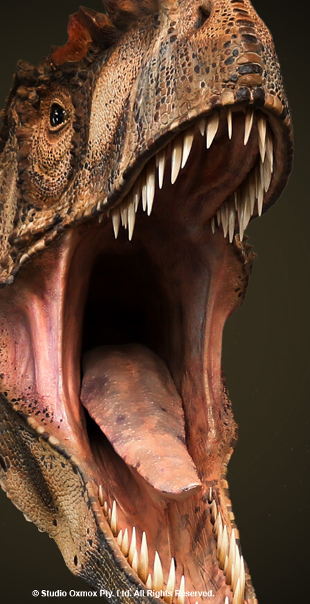 Allosaurus dinosaur model by Studio Oxmox