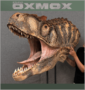 Allosaurus life size display head, dinosaur life size display, sculpted by Studio Oxmox