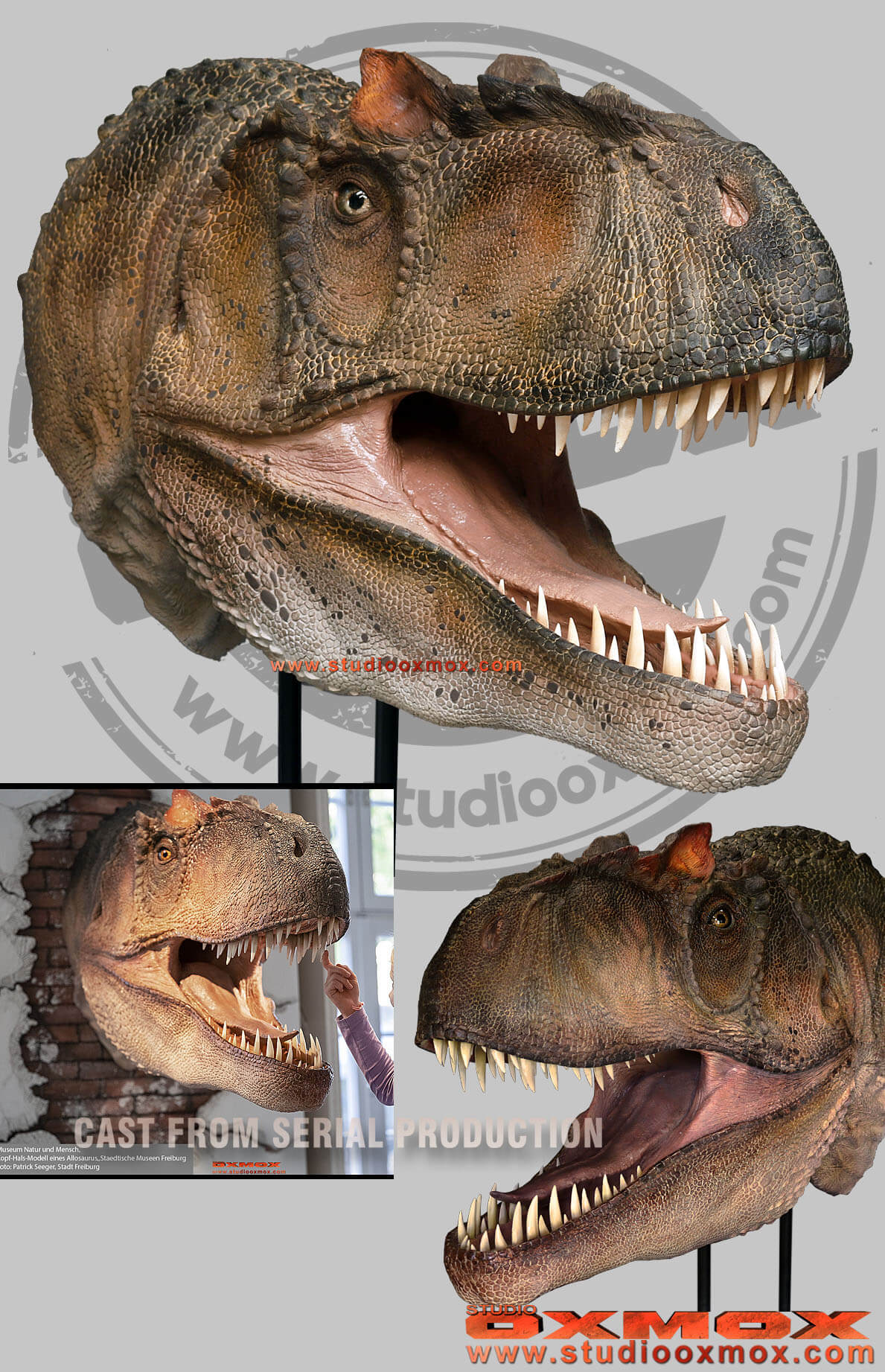 Allosaurus dinosaur oxmox