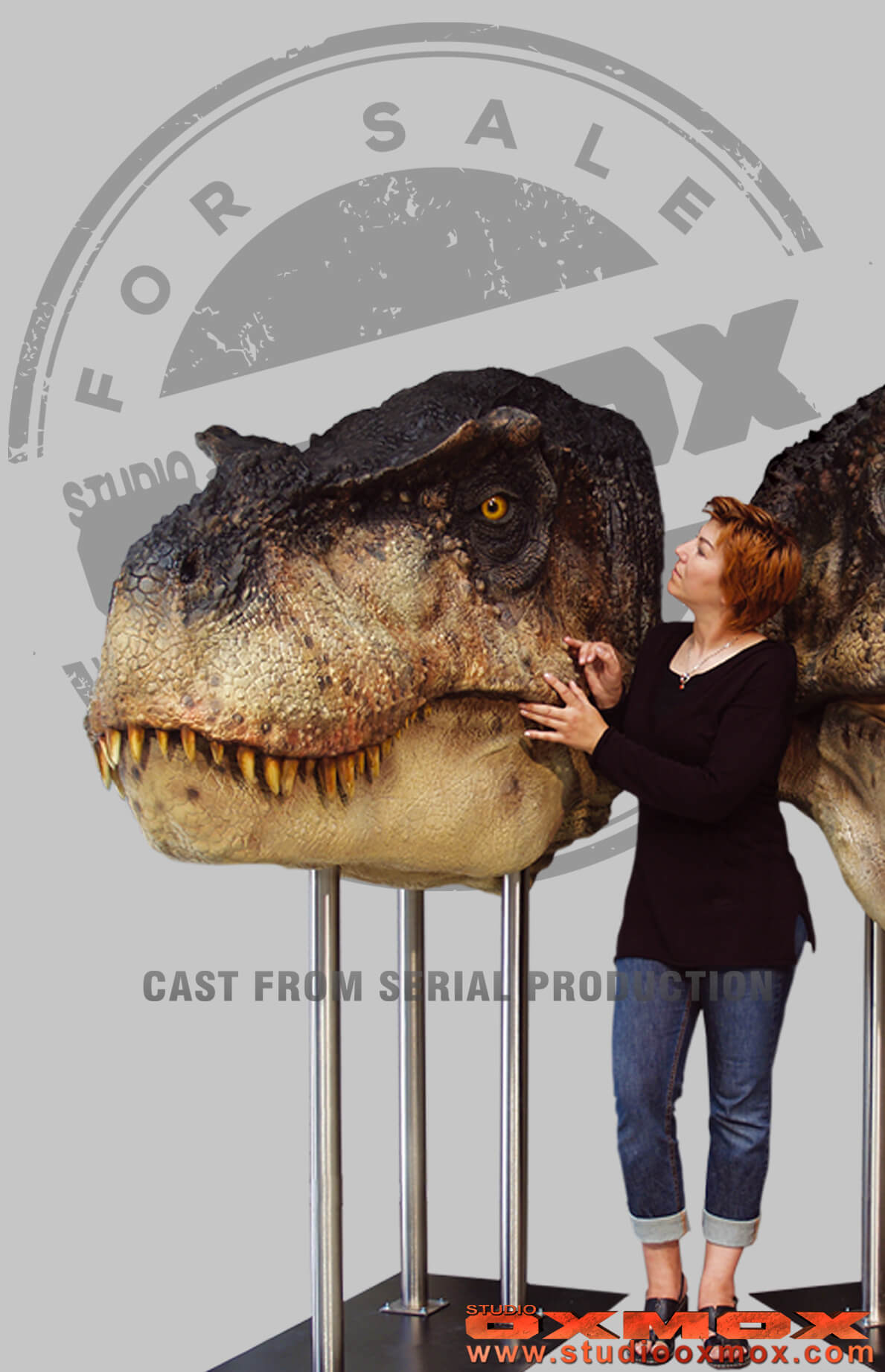 Tyrannosaurs display life size for sale oxmox